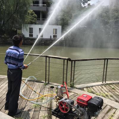 農(nóng)田噴藥設(shè)備選購(gòu)指南 柴油、汽油與手推式噴藥機(jī)價(jià)格與特性解析